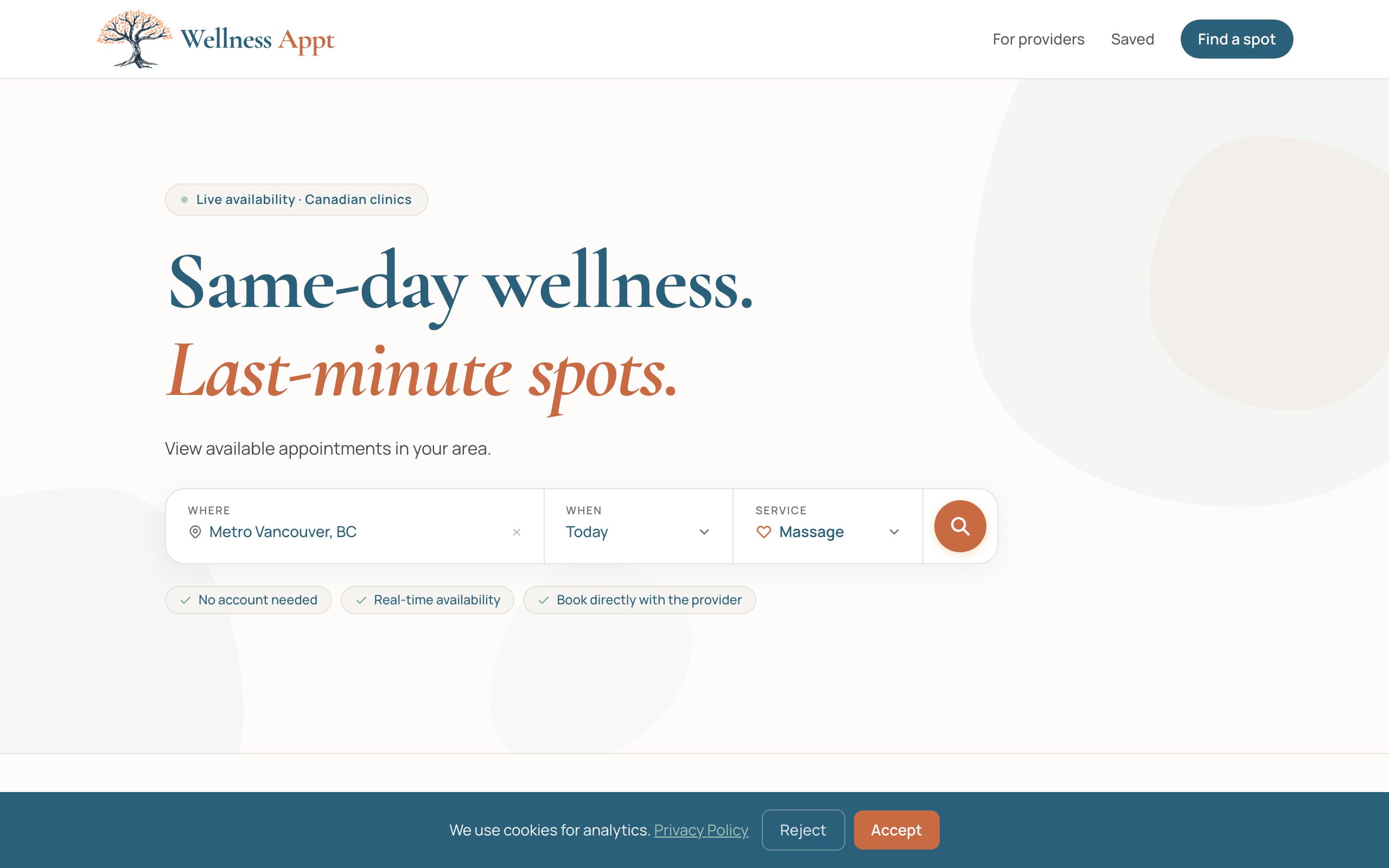 WellnessAppt website screenshot
